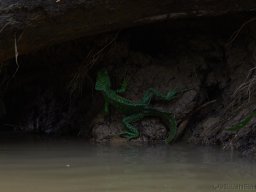 QueenVictoria2015-041